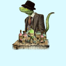 illustrative genuine lizard top hat medicine vintage