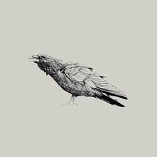 black and white crow one color sketch illustration tshirt tee