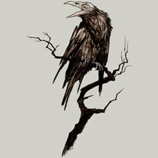 crow moutchy black and white one color dark art tshirt tee
