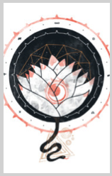 lotus white flower againstbound nature outdoors geometric indie