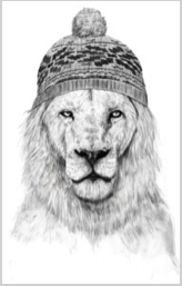 black and white pencil sketch drawing one color lion detailed hipster beanie tshirt tee