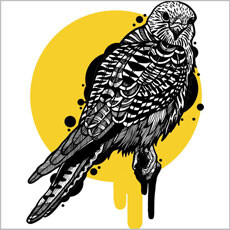 golden hawk drawing illustration vector bird animal tshirt tee casiegraphics