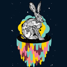 abstract retro modern painted illustration drawing rabbit bunny tshirt tee