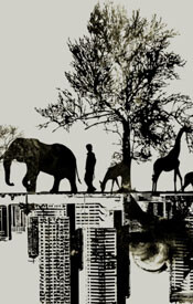 duality vector vintage grunge elephant human giraffe tree nature city cityscape buildings reflection tshirt tee