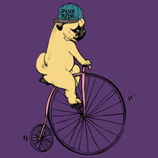 pug ride dog puppy bicycle tshirt tank top sweatshirt