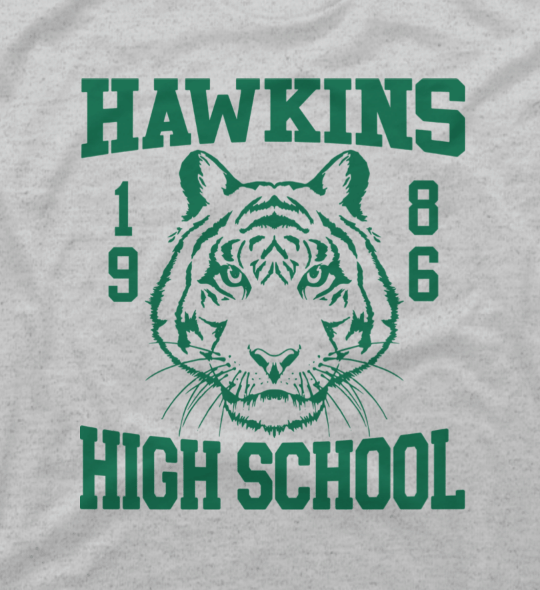 Stranger Things Hawkins High School 1986