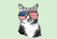 usa cat shirt