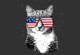 usa cat shirt