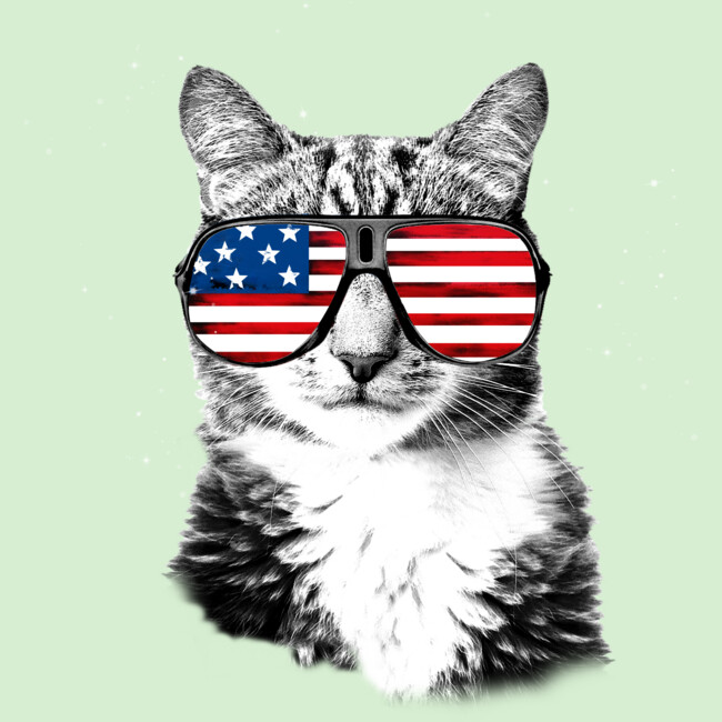 usa cat shirt