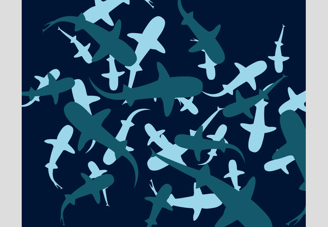 Shark Camouflage T-shirt Design by from Design By Humans
