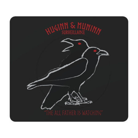 Huginn & Muninn Surveillance