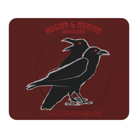 Huginn & Muninn Surveillance