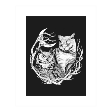Cat and Owl