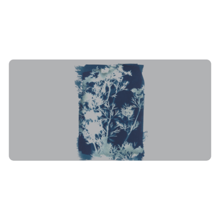 Cyanotype flowers