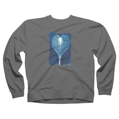 Cyanotype petal heart