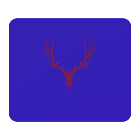 The skull of a deer