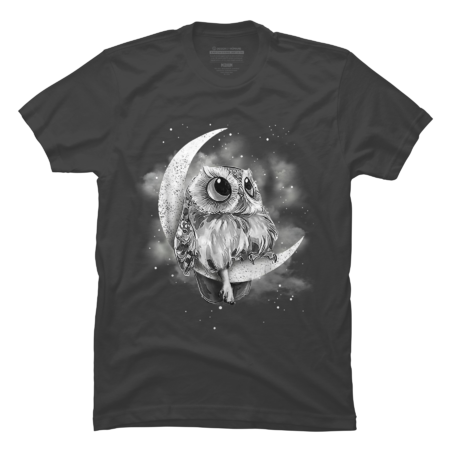 Owl Sitting On Moon
