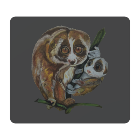 Slow Loris with Baby