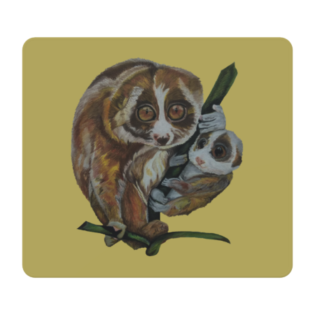 Slow Loris with Baby