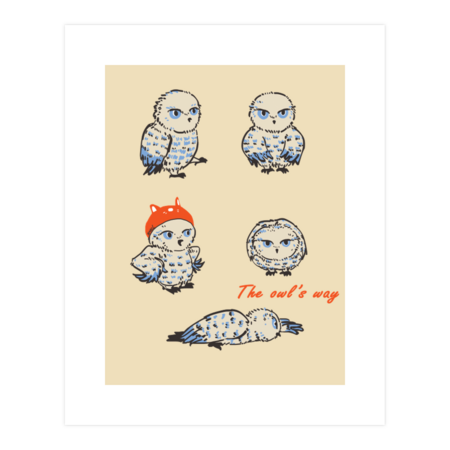 The owl's way