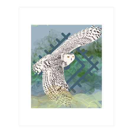 The flight of the snowy owl