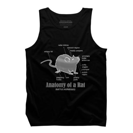 Anatomy Of Rat