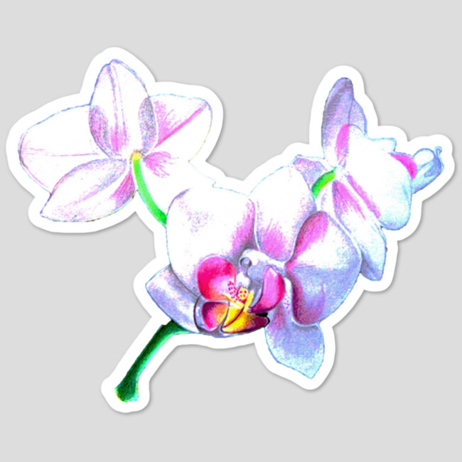 Orchid Flower Sticker
