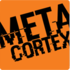 metacortexpod3